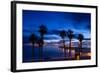 Silhouette of Palm Trees on the Beach, Laguna Beach, California, USA-null-Framed Photographic Print