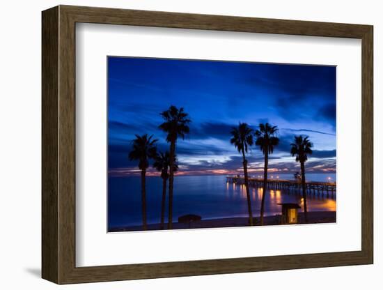 Silhouette of Palm Trees on the Beach, Laguna Beach, California, USA-null-Framed Photographic Print