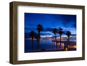 Silhouette of Palm Trees on the Beach, Laguna Beach, California, USA-null-Framed Photographic Print