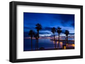 Silhouette of Palm Trees on the Beach, Laguna Beach, California, USA-null-Framed Photographic Print