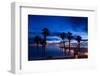 Silhouette of Palm Trees on the Beach, Laguna Beach, California, USA-null-Framed Photographic Print