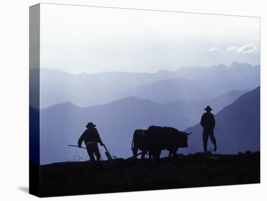 Silhouette of Ploughmen with Oxen, Colca Canyon, Peru-John Warburton-lee-Stretched Canvas
