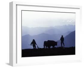 Silhouette of Ploughmen with Oxen, Colca Canyon, Peru-John Warburton-lee-Framed Photographic Print