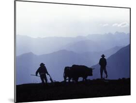 Silhouette of Ploughmen with Oxen, Colca Canyon, Peru-John Warburton-lee-Mounted Photographic Print