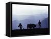 Silhouette of Ploughmen with Oxen, Colca Canyon, Peru-John Warburton-lee-Framed Stretched Canvas