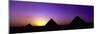 Silhouette of Pyramids at Dusk, Giza, Egypt-null-Mounted Premium Photographic Print