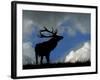 Silhouette of Red Deer Stag, Dyrehaven, Denmark-Edwin Giesbers-Framed Photographic Print