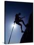 Silhouette of Rock Climber, Boulder, Colorado, USA-null-Stretched Canvas