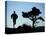 Silhouette of Runner and Tree-null-Stretched Canvas