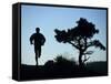 Silhouette of Runner and Tree-null-Framed Stretched Canvas