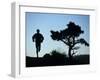 Silhouette of Runner and Tree-null-Framed Premium Photographic Print