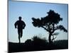 Silhouette of Runner and Tree-null-Mounted Premium Photographic Print