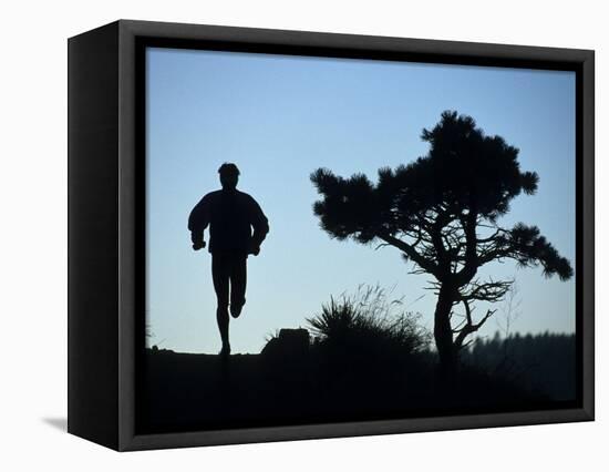 Silhouette of Runner and Tree-null-Framed Stretched Canvas