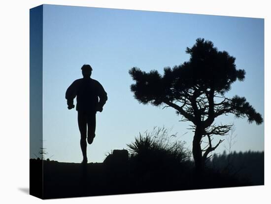 Silhouette of Runner and Tree-null-Stretched Canvas