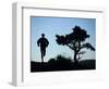 Silhouette of Runner and Tree-null-Framed Photographic Print