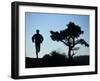 Silhouette of Runner and Tree-null-Framed Photographic Print