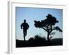 Silhouette of Runner and Tree-null-Framed Photographic Print