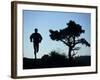 Silhouette of Runner and Tree-null-Framed Photographic Print