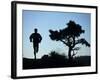 Silhouette of Runner and Tree-null-Framed Photographic Print