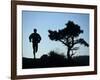 Silhouette of Runner and Tree-null-Framed Photographic Print