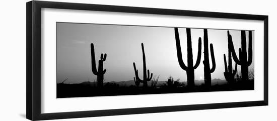 Silhouette of Saguaro Cacti (Carnegiea Gigantea) on a Landscape, Saguaro National Park, Tucson-null-Framed Photographic Print