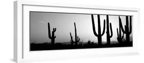 Silhouette of Saguaro Cacti (Carnegiea Gigantea) on a Landscape, Saguaro National Park, Tucson-null-Framed Photographic Print