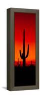 Silhouette of Saguaro Cactus at Sunset, Arizona, Usa-null-Framed Stretched Canvas