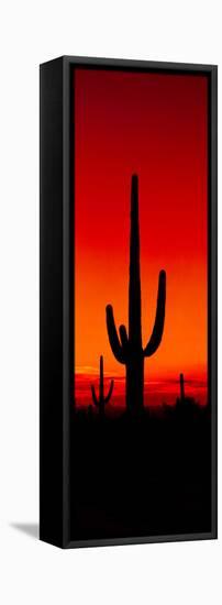 Silhouette of Saguaro Cactus at Sunset, Arizona, Usa-null-Framed Stretched Canvas