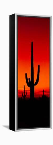 Silhouette of Saguaro Cactus at Sunset, Arizona, Usa-null-Framed Stretched Canvas