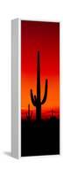 Silhouette of Saguaro Cactus at Sunset, Arizona, Usa-null-Framed Stretched Canvas