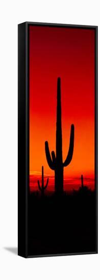 Silhouette of Saguaro Cactus at Sunset, Arizona, Usa-null-Framed Stretched Canvas