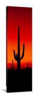 Silhouette of Saguaro Cactus at Sunset, Arizona, Usa-null-Stretched Canvas