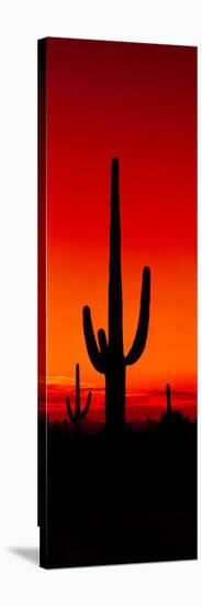 Silhouette of Saguaro Cactus at Sunset, Arizona, Usa-null-Stretched Canvas