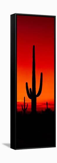 Silhouette of Saguaro Cactus at Sunset, Arizona, Usa-null-Framed Stretched Canvas