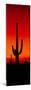 Silhouette of Saguaro Cactus at Sunset, Arizona, Usa-null-Mounted Premium Photographic Print