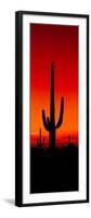 Silhouette of Saguaro Cactus at Sunset, Arizona, Usa-null-Framed Premium Photographic Print