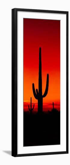 Silhouette of Saguaro Cactus at Sunset, Arizona, Usa-null-Framed Premium Photographic Print