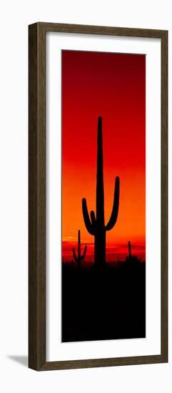 Silhouette of Saguaro Cactus at Sunset, Arizona, Usa-null-Framed Photographic Print