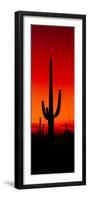 Silhouette of Saguaro Cactus at Sunset, Arizona, Usa-null-Framed Photographic Print