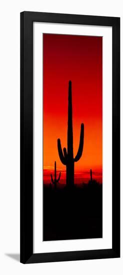 Silhouette of Saguaro Cactus at Sunset, Arizona, Usa-null-Framed Photographic Print