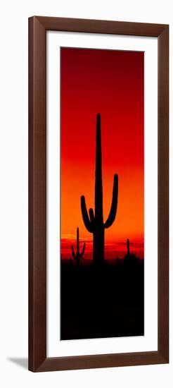 Silhouette of Saguaro Cactus at Sunset, Arizona, Usa-null-Framed Photographic Print