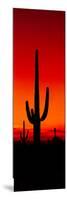 Silhouette of Saguaro Cactus at Sunset, Arizona, Usa-null-Mounted Photographic Print