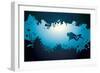 Silhouette of Scuba Diver and Coral Reef-Natali Snailcat-Framed Art Print