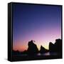 Silhouette of Stacks and Tree against Colorful Evening Sky-Micha Pawlitzki-Framed Stretched Canvas