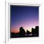 Silhouette of Stacks and Tree against Colorful Evening Sky-Micha Pawlitzki-Framed Photographic Print