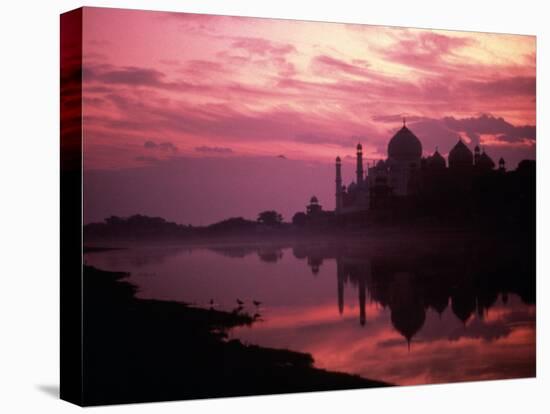 Silhouette of Taj Mahal, Agra, India-Mitch Diamond-Stretched Canvas