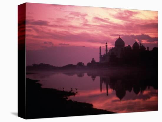 Silhouette of Taj Mahal, Agra, India-Mitch Diamond-Stretched Canvas