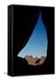 Silhouette of Tear Drop Arch and Dog, Monument Valley, Arizona-Michel Hersen-Framed Stretched Canvas