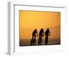 Silhouette of Three Men Riding on the Beach-Mitch Diamond-Framed Photographic Print