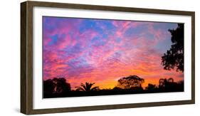 Silhouette of trees and plants at sunrise, Venice, Sarasota County, Florida, USA-null-Framed Photographic Print